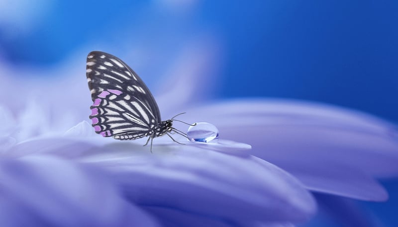 Embracing the unknown